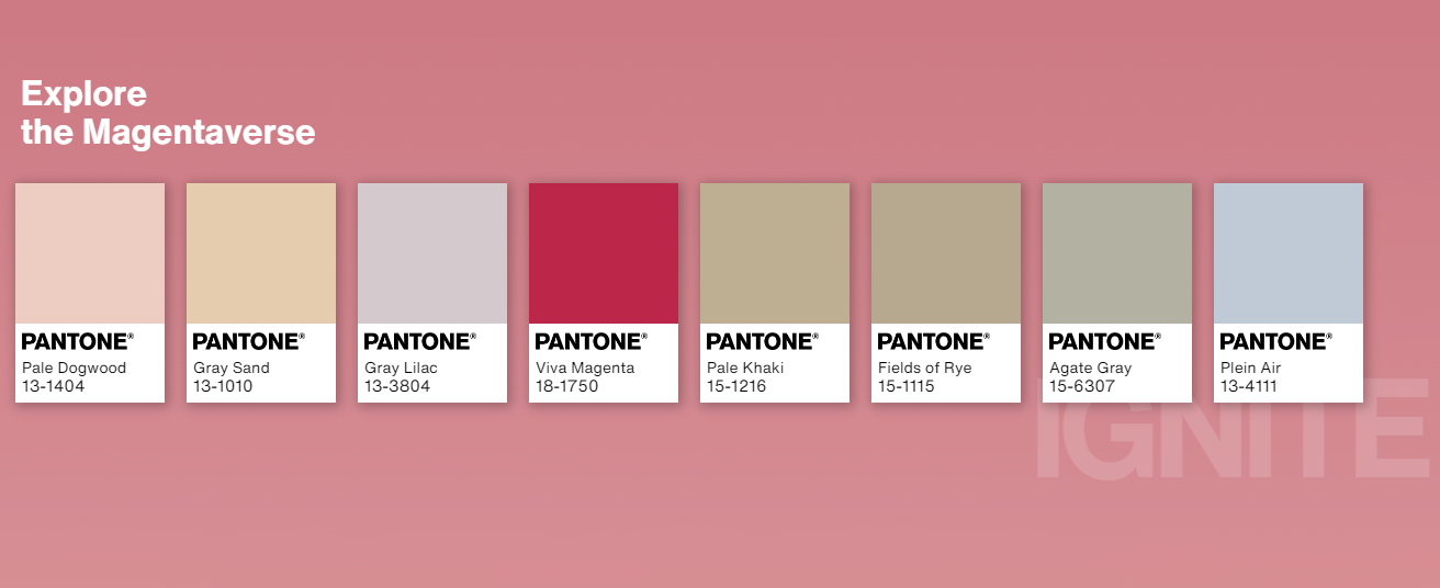 Viva magenta: Pantone color of the year